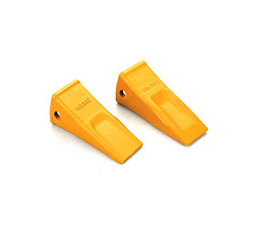 Tooth