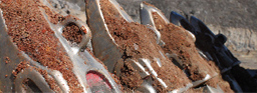 Ground Engaging Tools